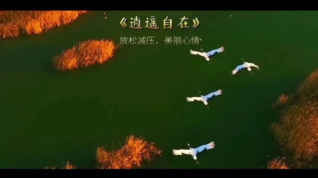 收录于合集⭐秋日将至,愿你逍遥自在,心情美丽!