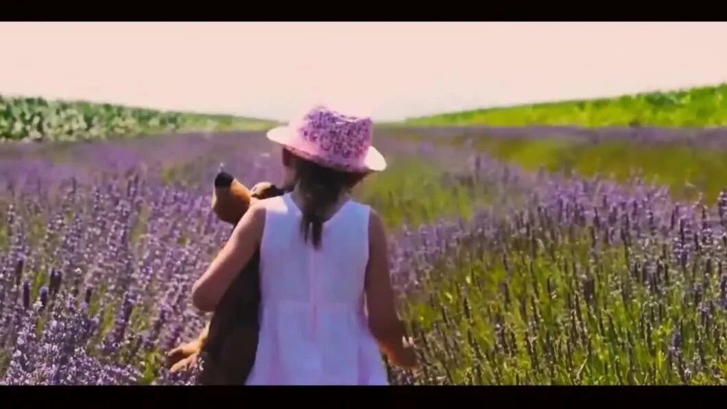 收录于合集⭐美好的星期天，祝您心情愉悦！