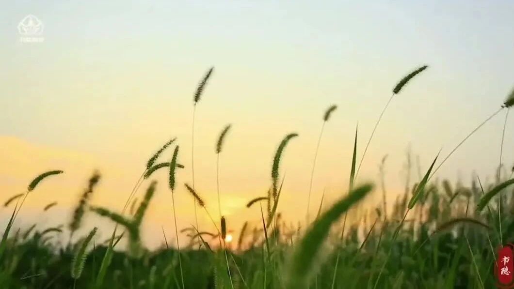 收录于合集⭐美好的周末，祝您心情愉悦！