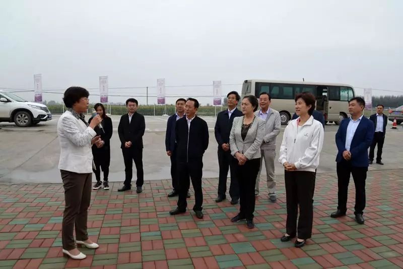 甘肃省委宣传部部长陈青考察罗马风情园景区