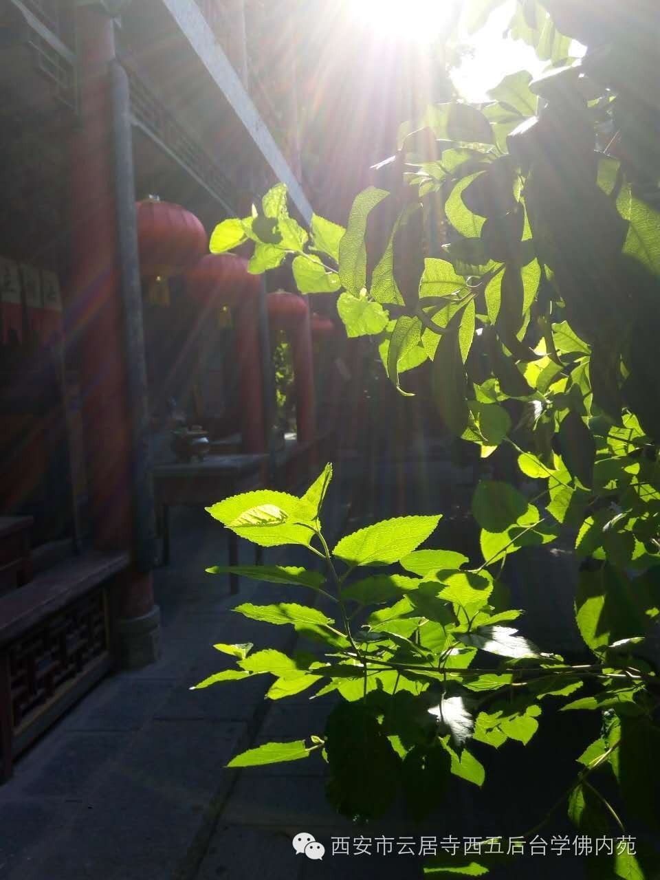 �������ƾ�������̨��Էܰ��34