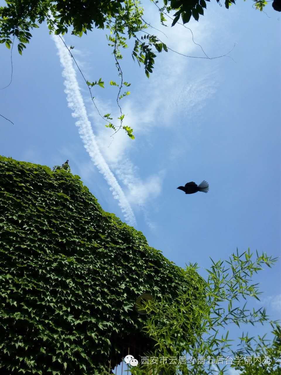 �������ƾ�������̨��Էܰ��34