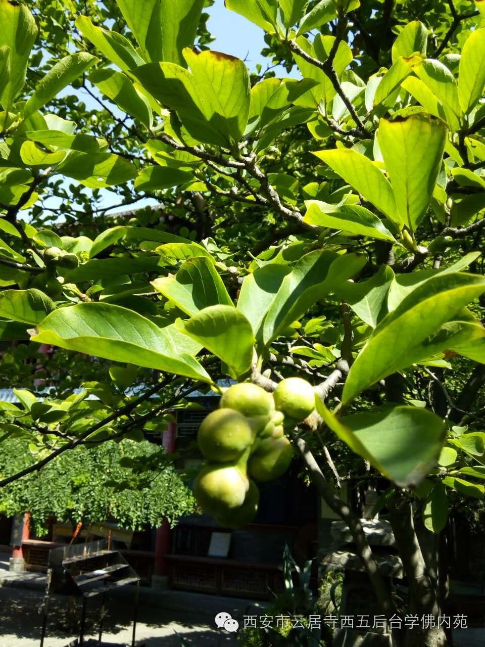 �������ƾ�������̨��Էܰ��34