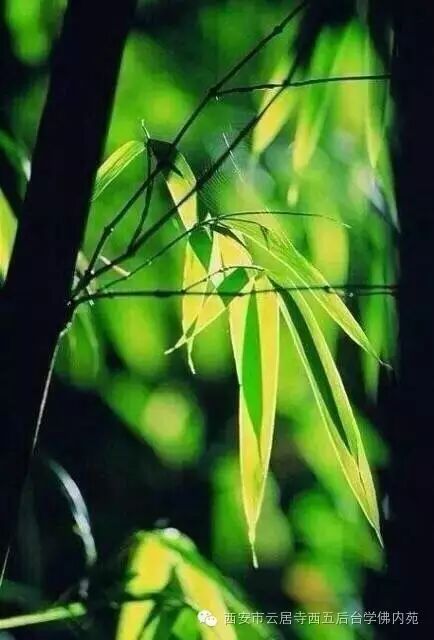 �������ƾ�������̨��Էܰ��34