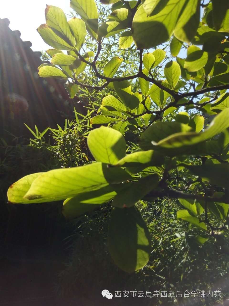 �������ƾ�������̨��Էܰ��34