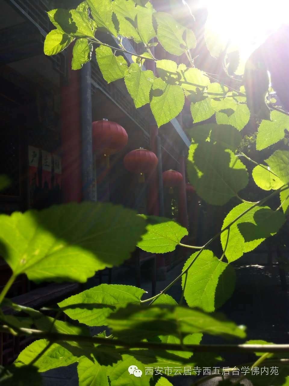 �������ƾ�������̨��Էܰ��34