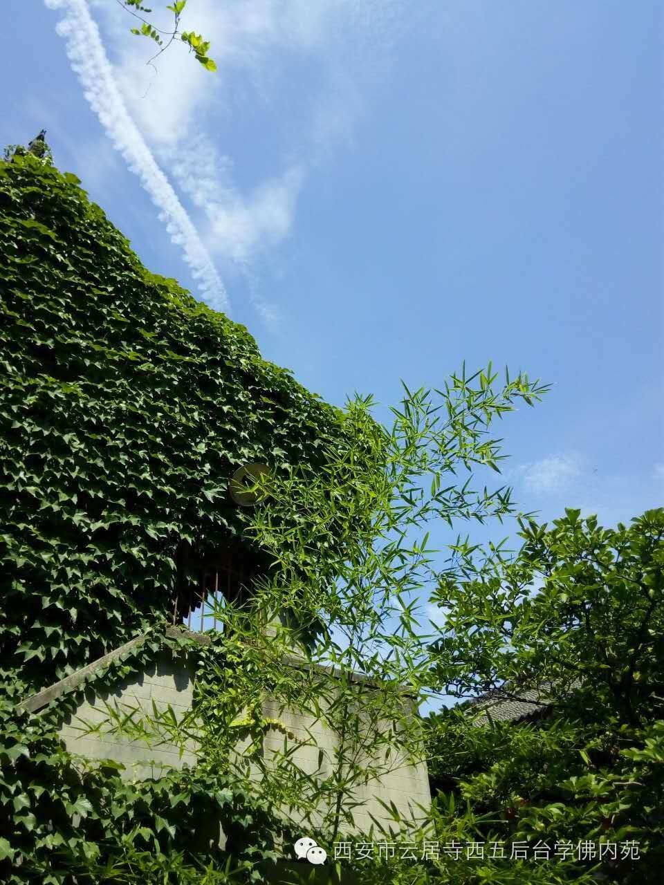 �������ƾ�������̨��Էܰ��34