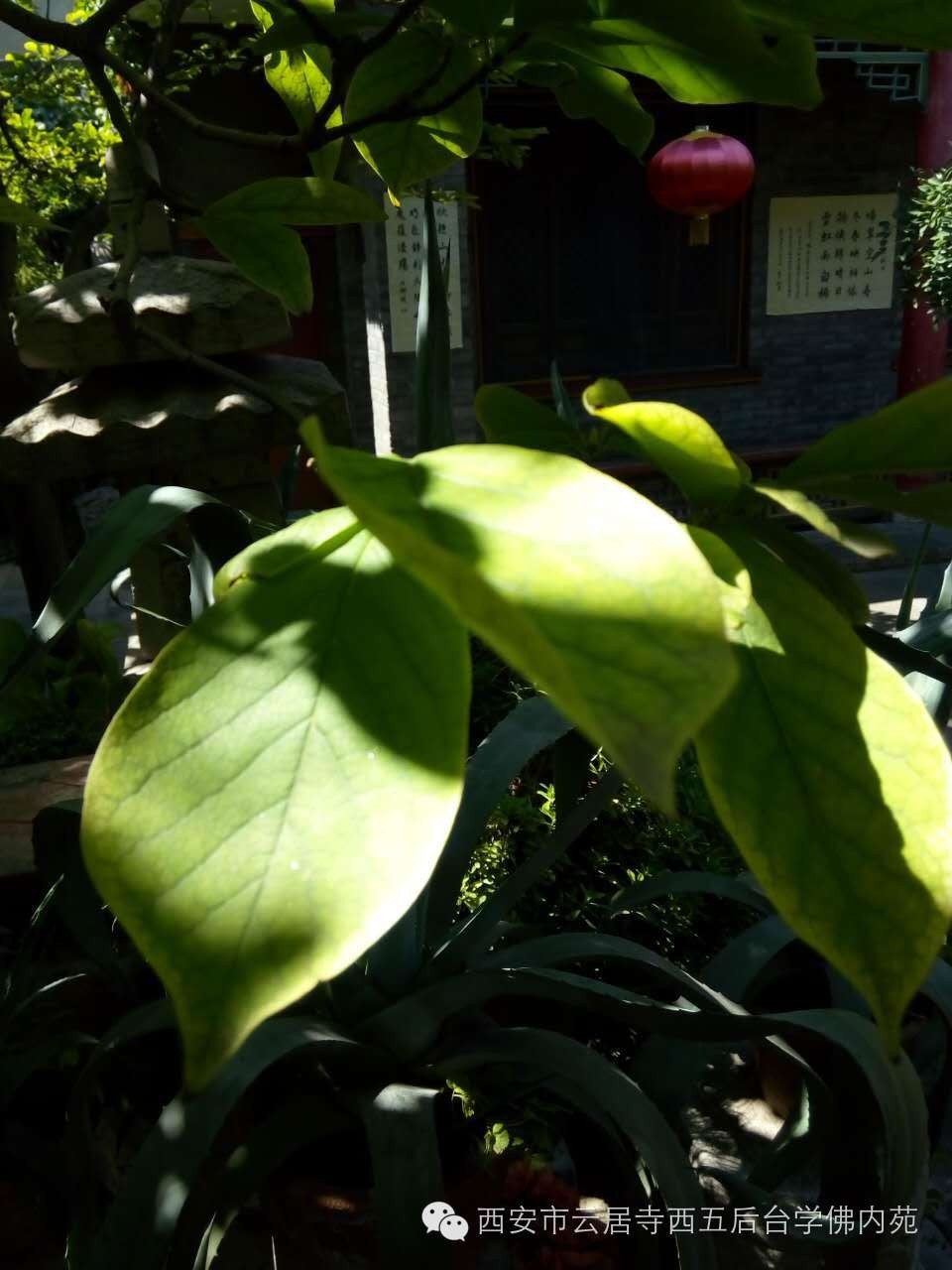 �������ƾ�������̨��Էܰ��34