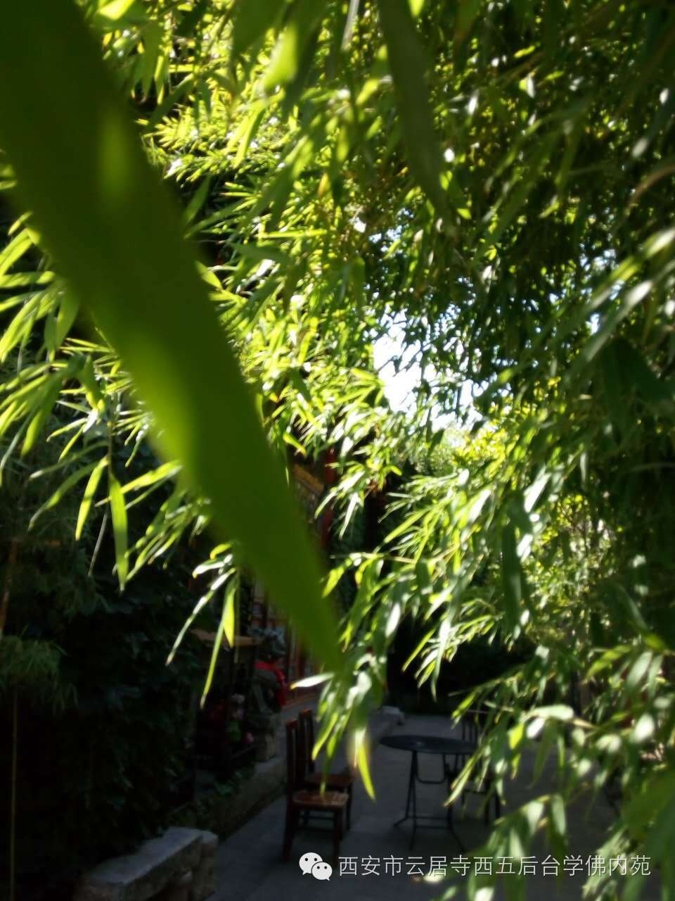 �������ƾ�������̨��Էܰ��34