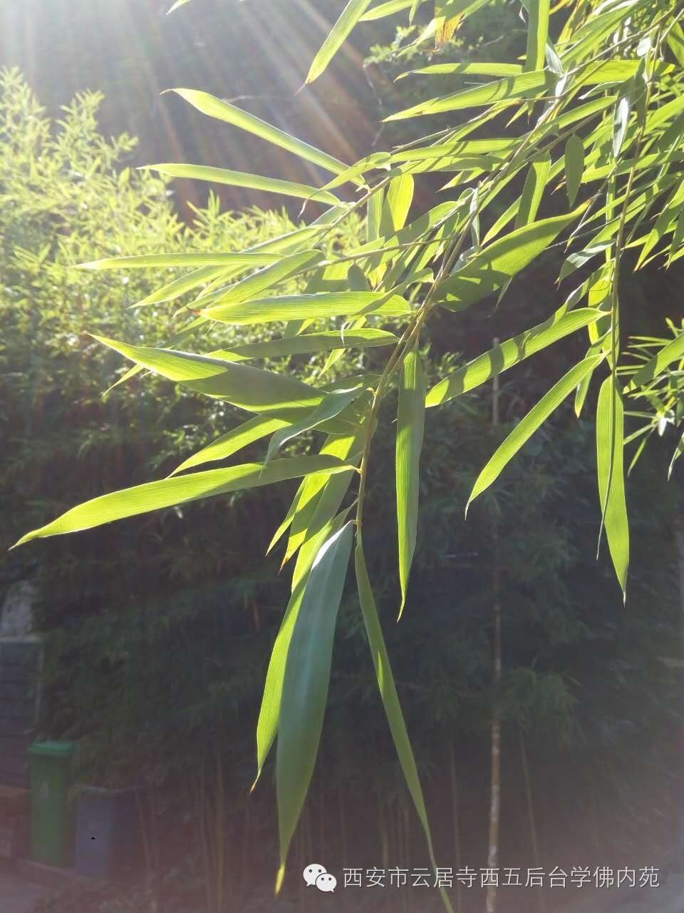 �������ƾ�������̨��Էܰ��34