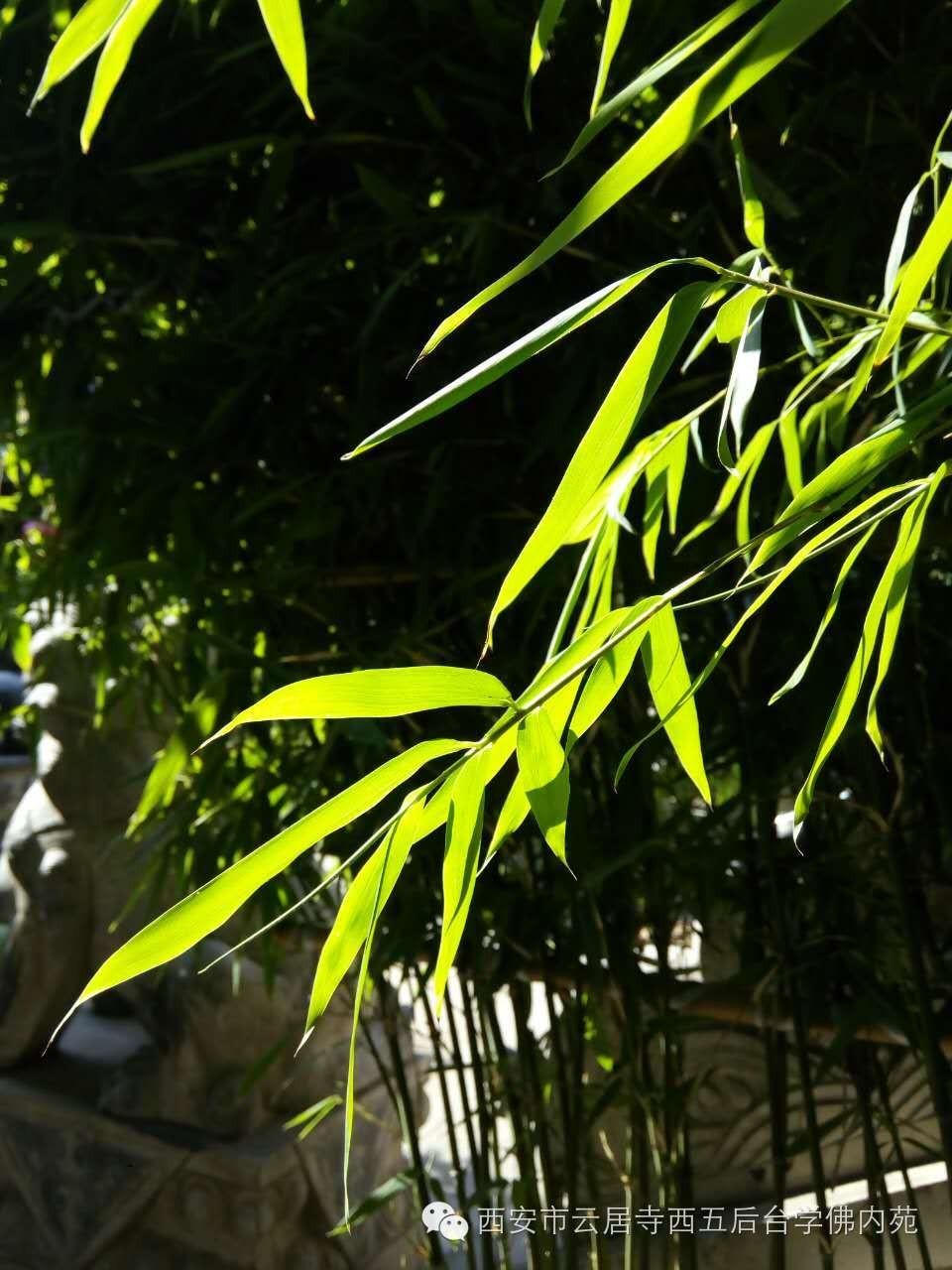 �������ƾ�������̨��Էܰ��34