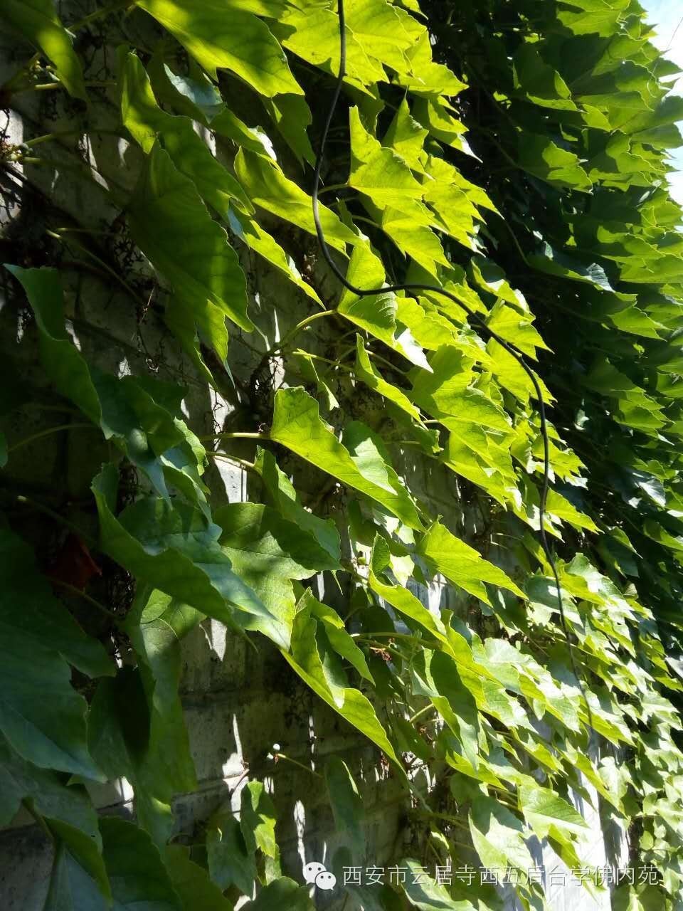 �������ƾ�������̨��Էܰ��34