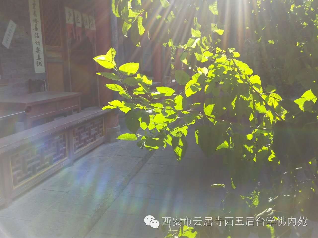 �������ƾ�������̨��Էܰ��34