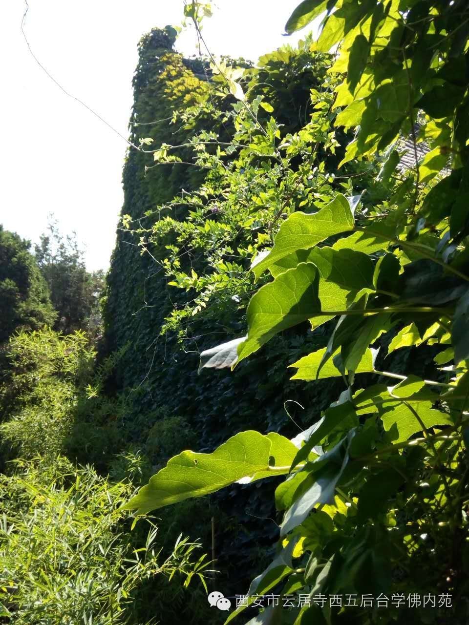 �������ƾ�������̨��Էܰ��34