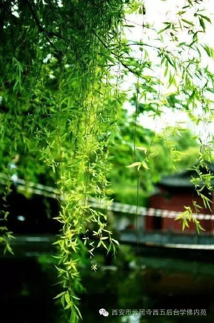 �������ƾ�������̨��Էܰ��34