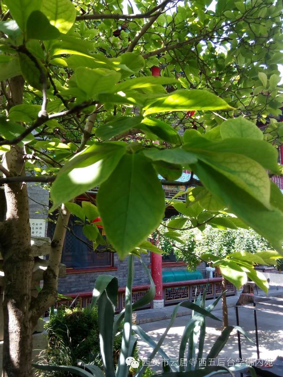 �������ƾ�������̨��Էܰ��34