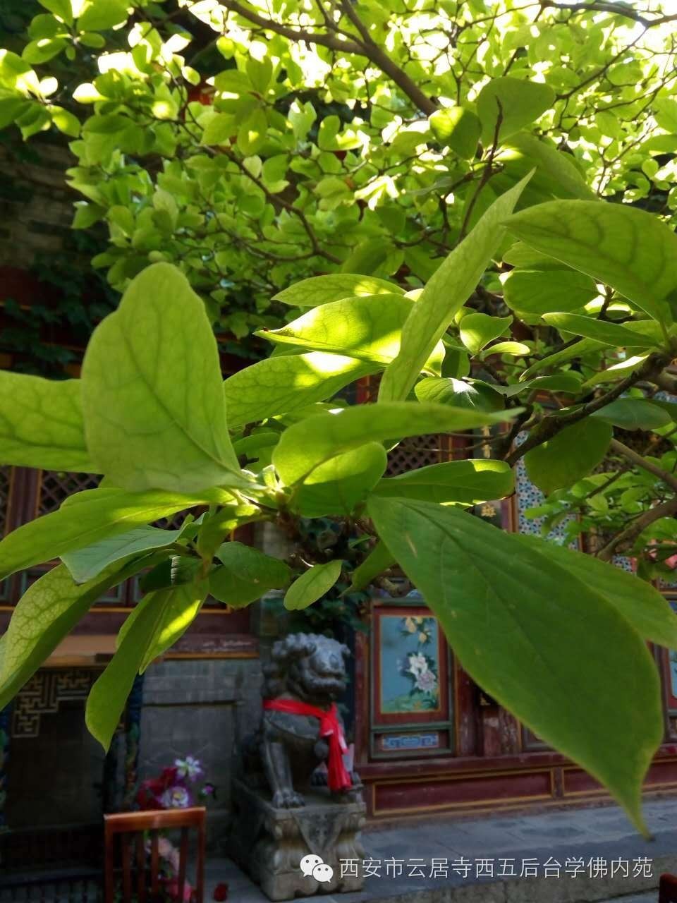 �������ƾ�������̨��Էܰ��34