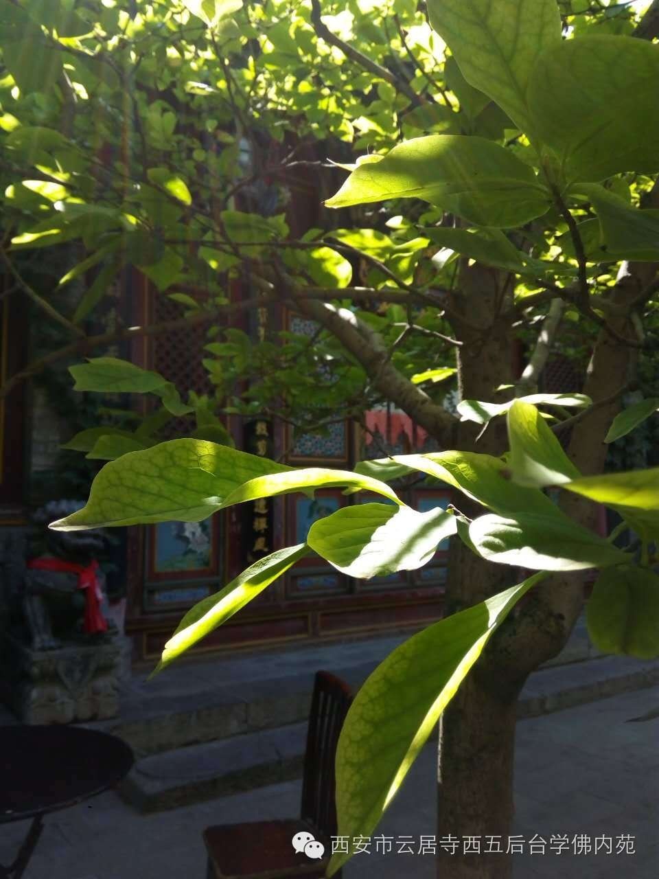 �������ƾ�������̨��Էܰ��34