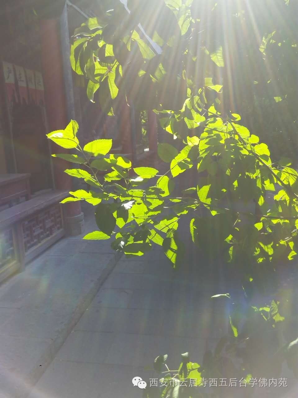 �������ƾ�������̨��Էܰ��34