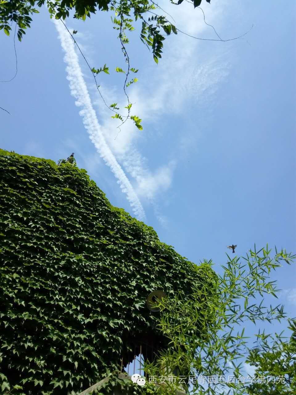 �������ƾ�������̨��Էܰ��34