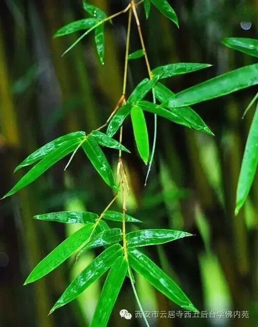 �������ƾ�������̨��Էܰ��34