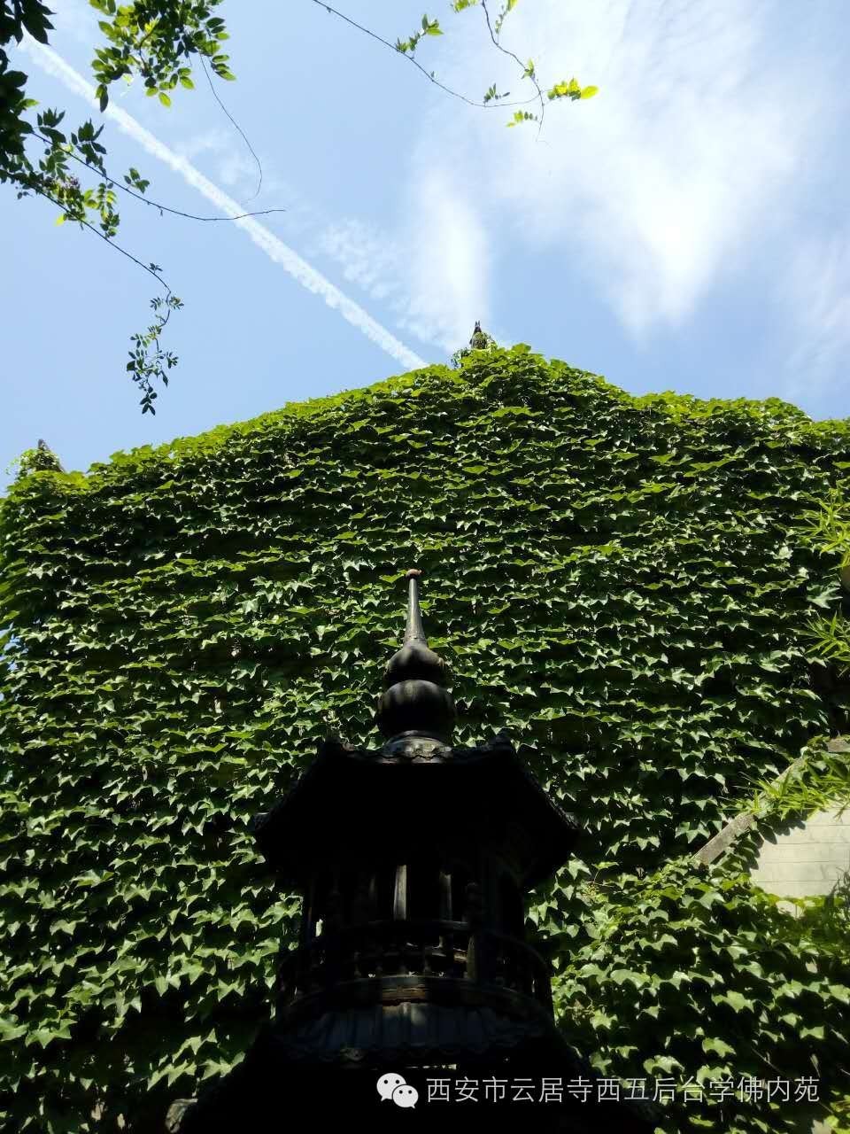 �������ƾ�������̨��Էܰ��34