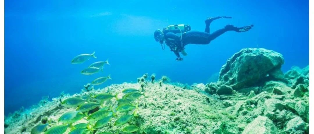 全球最佳潜水胜地：马耳他多次上榜