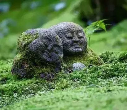 ûи£õһУʧȥ