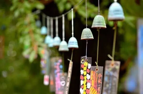 杨子专栏 | 夏,得之欢喜