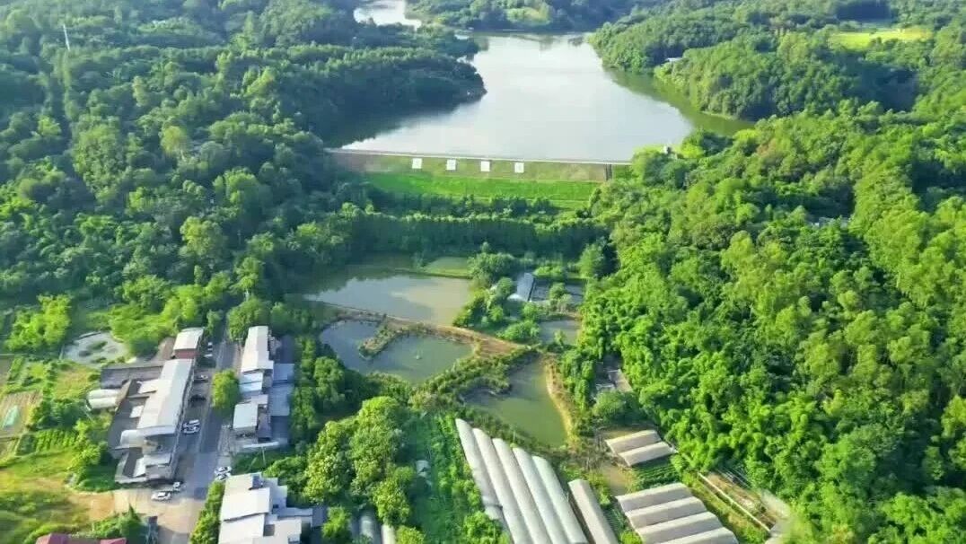  您的浏览器不支持 video 标签 