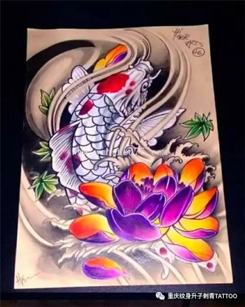 鲤鱼纹身图案与纹身手稿