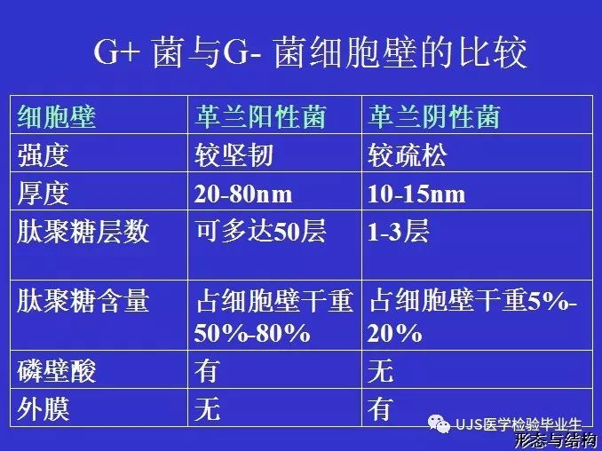 其病原能力通常与其细胞壁组成相关,具体说来有脂多糖