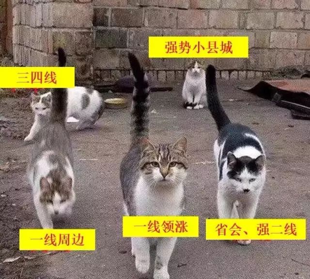 都按照自己的位置带不同的节奏
