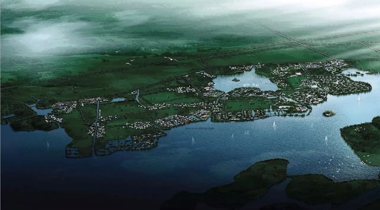 震泽湿地公园
