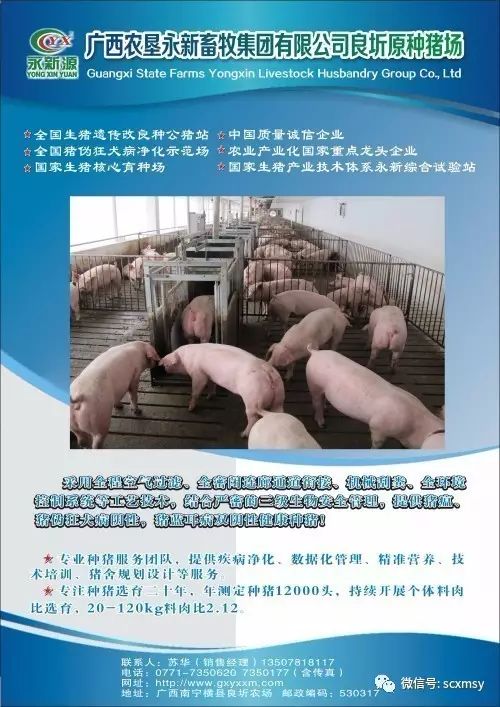 c3201009 国家级太湖猪(二花脸猪,梅山猪)保种场 国家级二花脸猪,梅山