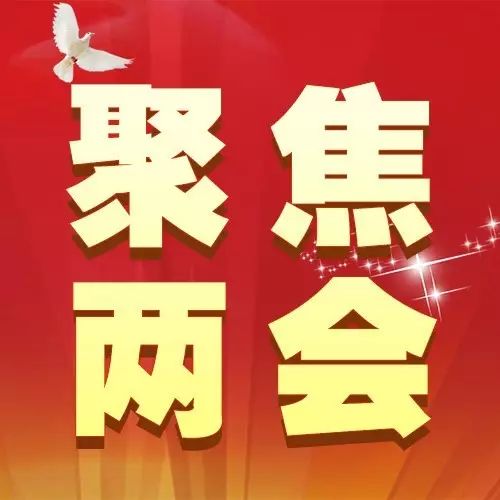 市政协十四届五次会议隆重开幕市十五届人大六次会议举行预备会议