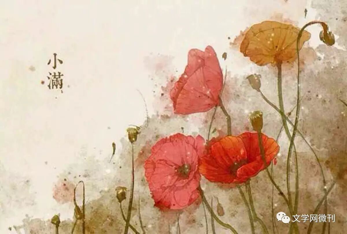 节气•小满 <wbr>| <wbr>专题特推