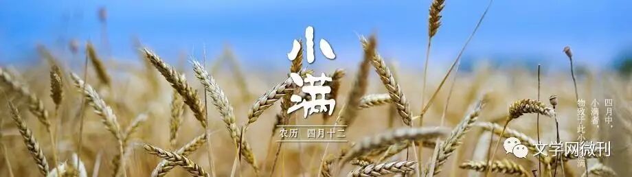 节气•小满 <wbr>| <wbr>专题特推