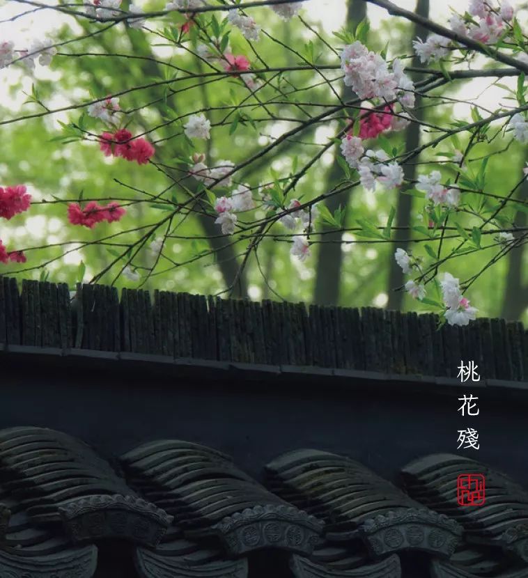 谷雨|时至暮春,初夏将至