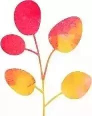 农谚来年枕着馒头睡_来年枕着馒头睡的谚语_今冬麦盖三层被来年枕着馒头睡是什么意思