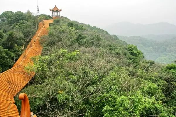 里面有座牛头山,为公园最高顶