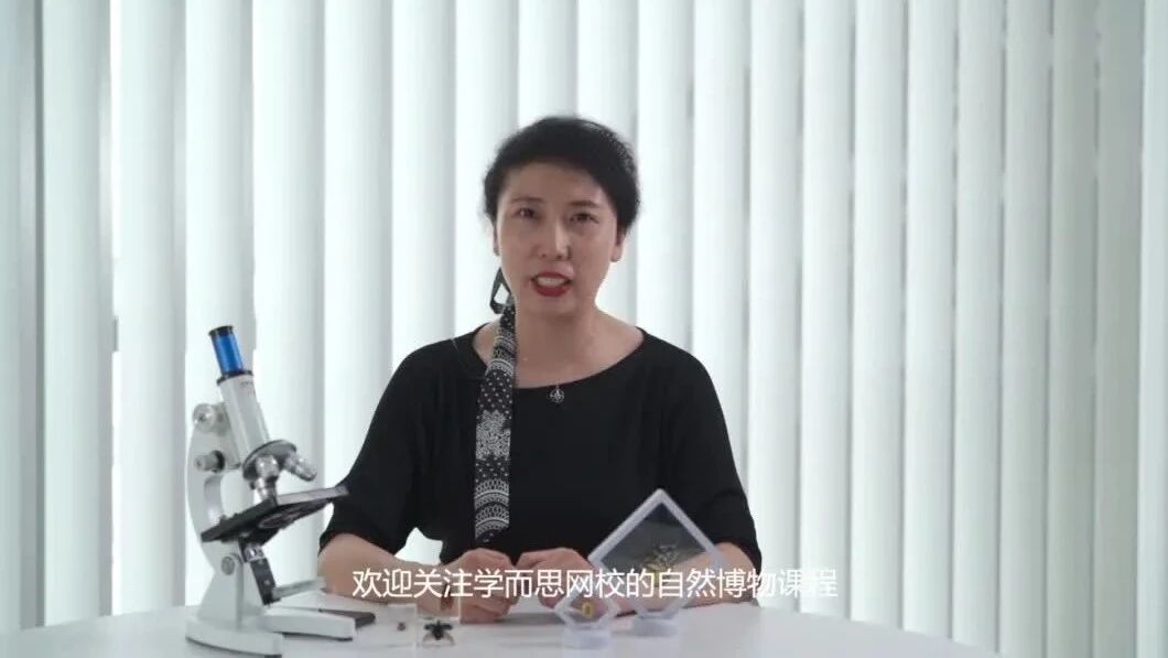 妈妈：我是从哪儿来的？北大博士将「达尔文进化论」带进课堂