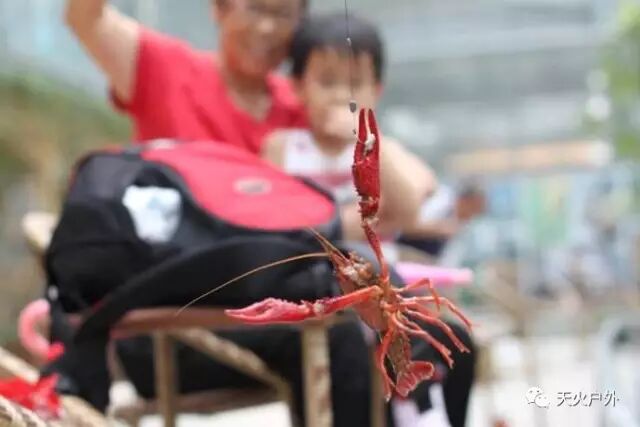徐州这个地方一天玩个来回刚刚好！还有漂流、采摘、骑马和龙虾节在向你招手