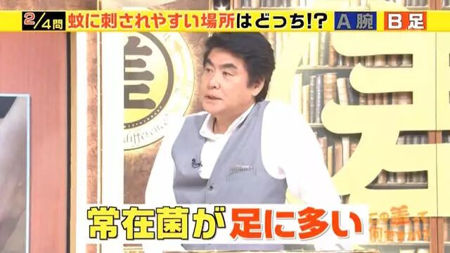 综艺节目解说《蚊子为什么爱叮你》夏天穿黑色衣服是自讨苦吃…… - 图片17