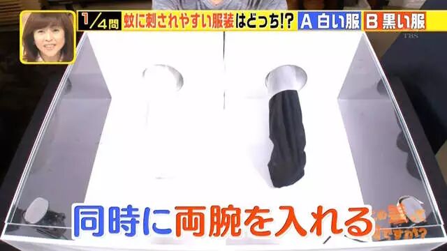 综艺节目解说《蚊子为什么爱叮你》夏天穿黑色衣服是自讨苦吃…… - 图片4