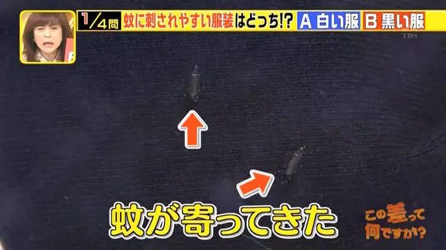 综艺节目解说《蚊子为什么爱叮你》夏天穿黑色衣服是自讨苦吃…… - 图片6