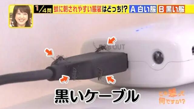 综艺节目解说《蚊子为什么爱叮你》夏天穿黑色衣服是自讨苦吃…… - 图片8