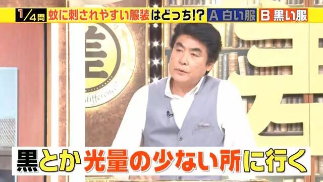 综艺节目解说《蚊子为什么爱叮你》夏天穿黑色衣服是自讨苦吃…… - 图片9