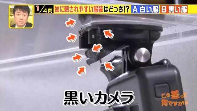 综艺节目解说《蚊子为什么爱叮你》夏天穿黑色衣服是自讨苦吃…… - 图片7