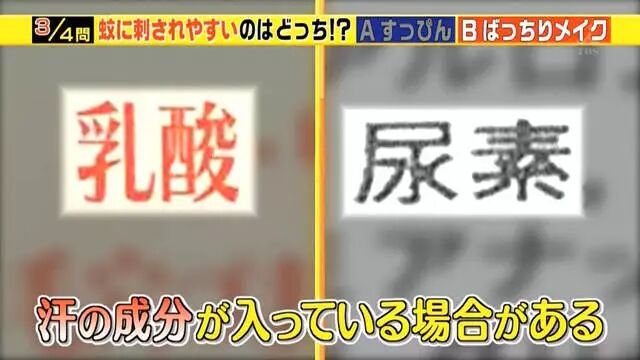 综艺节目解说《蚊子为什么爱叮你》夏天穿黑色衣服是自讨苦吃…… - 图片21